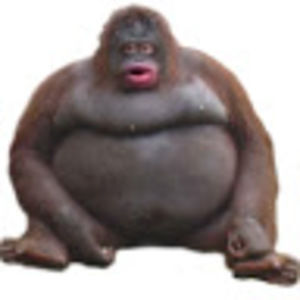 Meet your Posher, Leanne